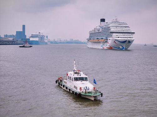 五一假期郵輪游市場火爆,寶山海事局全力保障市民旅客出行安全順暢
