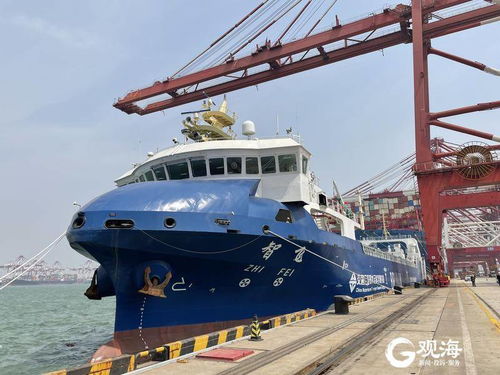 中國首艘自主航行集裝箱商船 智飛 號在山東港口青島港上線運營