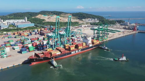 汕頭港引航員 逆流而上 守護水上國門