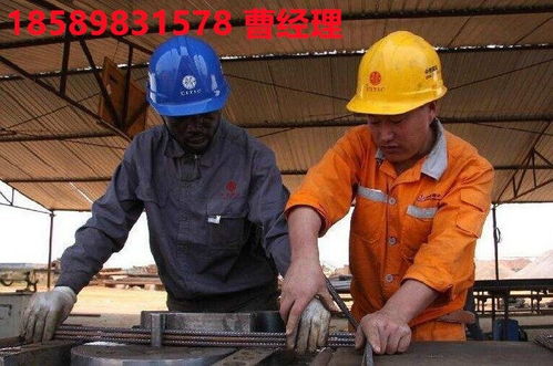 辰逸人力食品加工廠招工,非洲國外勞務的司機