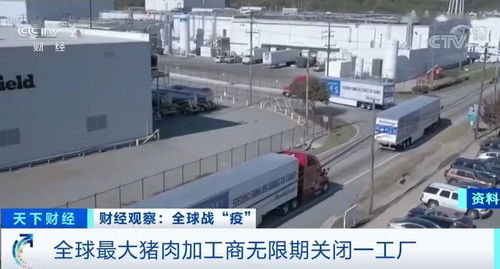 央視報(bào)道丨確診新冠肺炎員工增多,全球最大豬肉加工廠無(wú)限期關(guān)閉