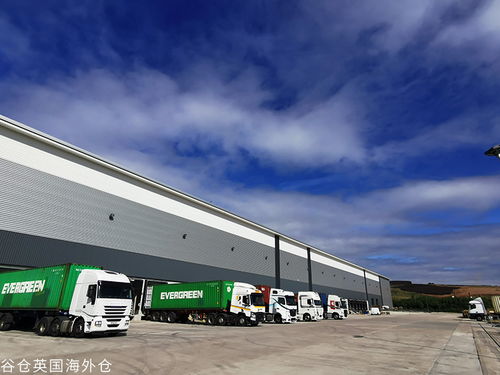 賣家角逐供應鏈,海外倉迎來數智升級時代