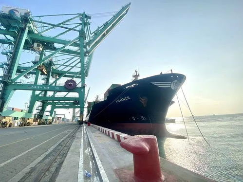 汕頭港近期要聞 2020.01