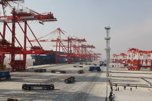 世界最大自動化碼頭上海洋山港四期試運行