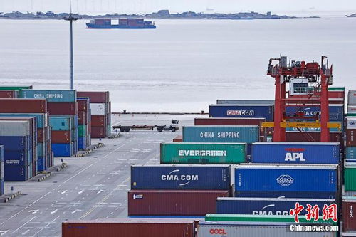 上海戰疫錄 上海洋山深水港正常運行 港口航運體系有序運轉