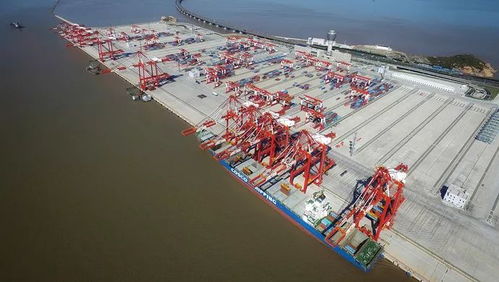 全球最大的自動化碼頭在中國運行,引得全球關注