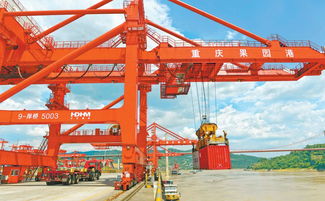 光明日報 西部大開發,重慶如何發揮支撐作用