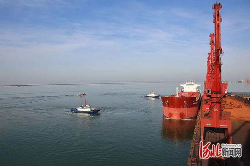 滄州 起跑即沖刺 ,奮進(jìn)涌春潮