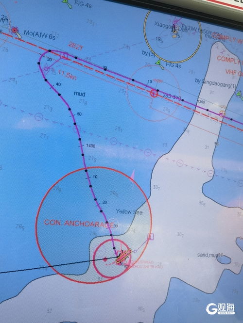 港口應(yīng)急響應(yīng)體系高效運(yùn)作 青島引航站成功處置兩起險(xiǎn)情