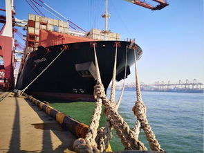 山東 青島港5g 自動(dòng)化碼頭投產(chǎn)運(yùn)營(yíng) 對(duì)標(biāo)世界一流智慧港口