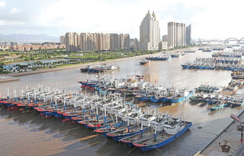 臺風 煙花 逼近 浙江嚴陣以待