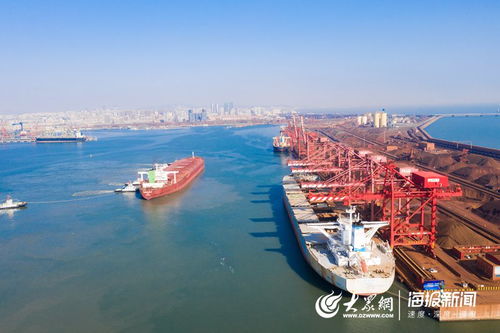 心手相連 共克時艱 山東省港口集團公布疫情防控期間5項港口服務承諾
