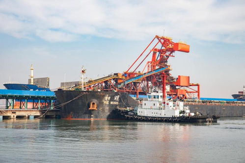 國家能源集團黃驊港務今年以來煤炭下水量超2億噸