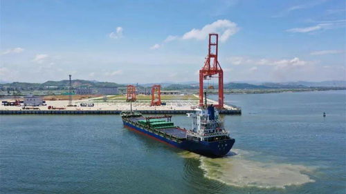 共謀潮州灣區發展,你的建言是棒棒的