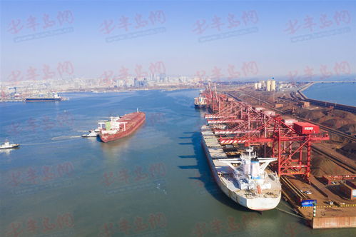 山東港口疫情防控生產經營 兩手抓 兩不誤 元月生產發展成效逆境凸顯
