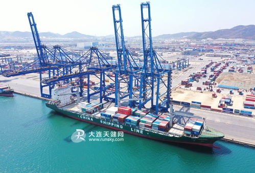 東南亞 水果快線 開通運營 565噸越南火龍果來連