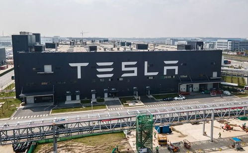 上海工廠停產一周 特斯拉回應