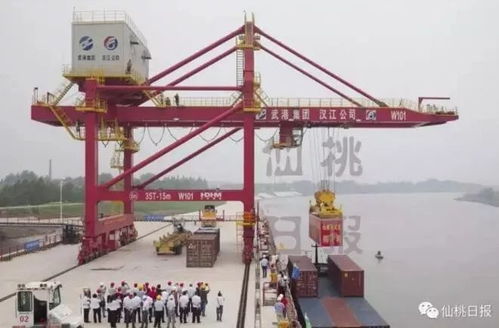 仙桃半年招商成績單,請查收