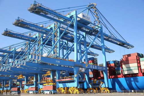 自動化讓人工作業量減少80 全球最大紙漿進口港,攻克世界難題