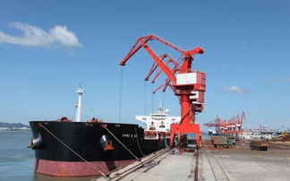 廈門港后石港區3號泊位通過竣工驗收