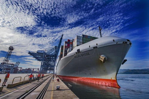 回望 十三五 先行示范的 藍色力量 鹽田港集團