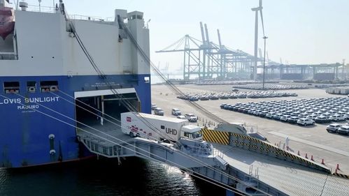 振奮 這個 全球第一 在天津