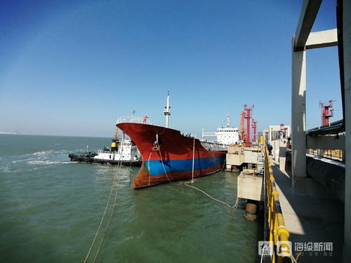 高質量發展看東營 山東港口東營港翎航公司拖輪作業艘次突破1100艘次