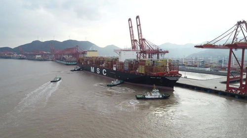 寧波舟山港2.0版新突破 甬舟兩地正式開啟拖輪一體化試點經營