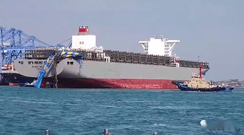 13870teu集裝箱船碰撞碼頭背后不得不說的拖輪安全