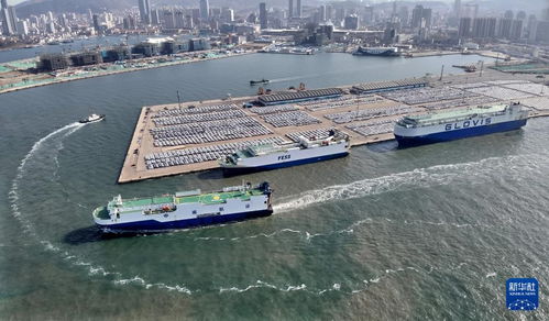 山東港口煙臺港 打造北方商品車物流樞紐港