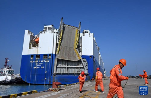 山東港口煙臺港 打造北方商品車物流樞紐港