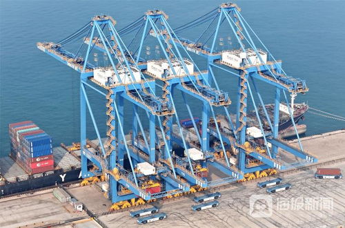 視覺山東一周圖選 名家點評 2024 1