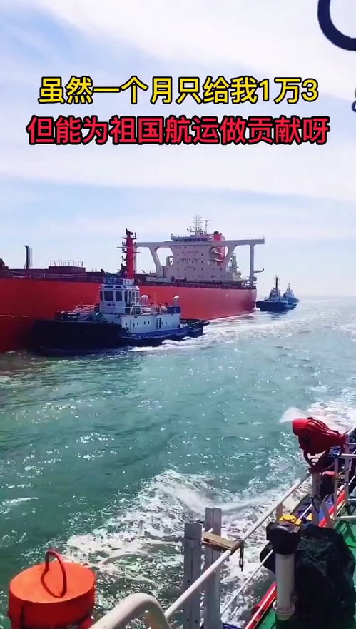 遠航30天將23萬噸礦砂運回祖國 7條拖輪全程協助靠港 航海之路 深海