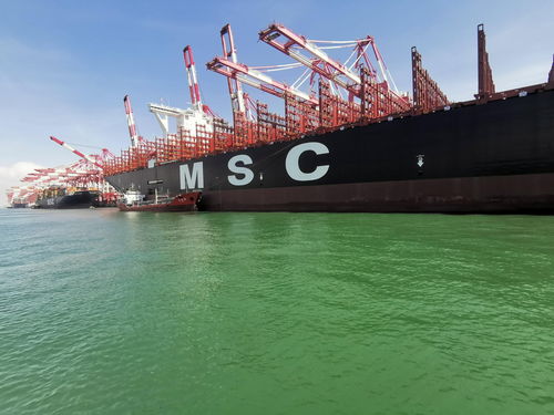 保稅燃油跨域供應在洋山港步入常態化運作