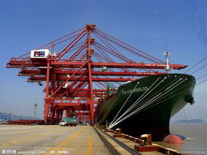 寧波港 主力醞釀陰謀,后期走勢驚人