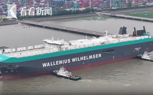 上海 五一 假期外高橋口岸迎船舶靠港高峰