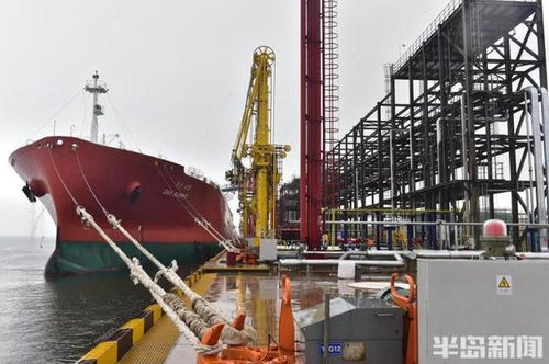 增幅位居計劃單列市第一 山東港口整合釋放巨大紅利,助推青島外貿半年增千億