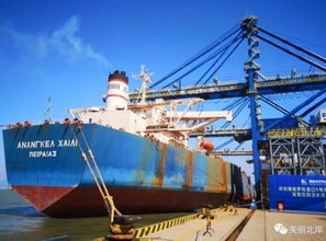 羅嶼港口 福建最大大宗散貨露天保稅堆場正式投入運營