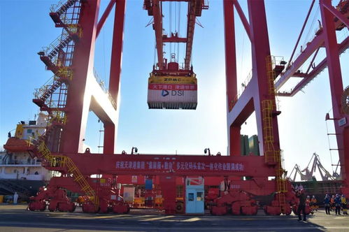 天津港首個 集裝箱 散雜 多元化碼頭啟動運營