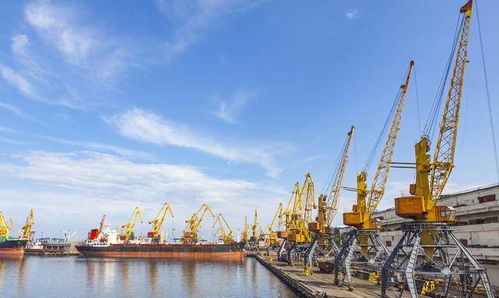 我國(guó)遠(yuǎn)洋海運(yùn)沿岸有經(jīng)營(yíng)權(quán)的重要港口有哪些 有什么意義和作用