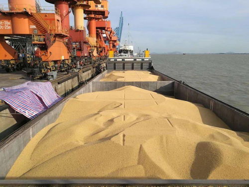 切實落地 打造具有中檢集團特色的大宗農產品線