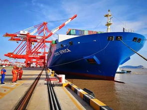 主菜單 上海航運交易所