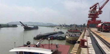 鹽田港參與投資的又一個港口正式開港運營