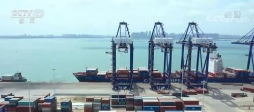 海南獲保稅油地方經營許可權 便利海運企業進行航線調度和港口作業