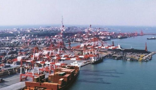 青島將崛起的黑馬區,深受游客喜愛,不是李滄也不是黃島