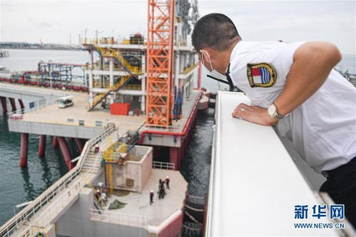 海南自貿港的引航員