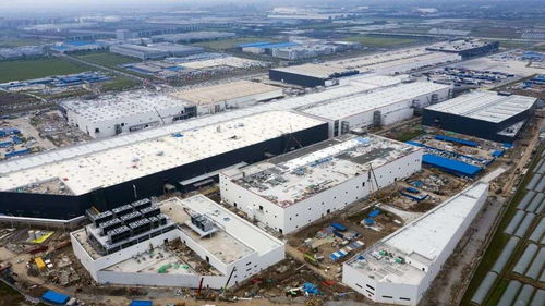 實探上海特斯拉工廠 model y 兩月后或投產,每周200名應聘者涌入