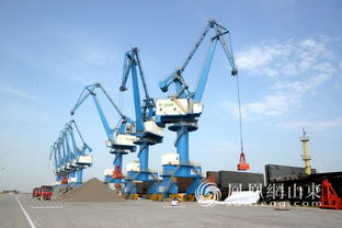 主菜單 上海航運交易所