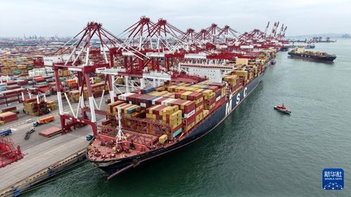 青島港 面向上合組織國家貨物吞吐量和航線實現 雙增長