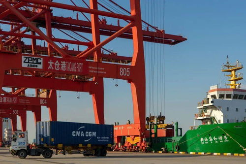 聯(lián)動(dòng)接卸 視同一港 洋山 太倉港通關(guān)一體化運(yùn)作全面落地
